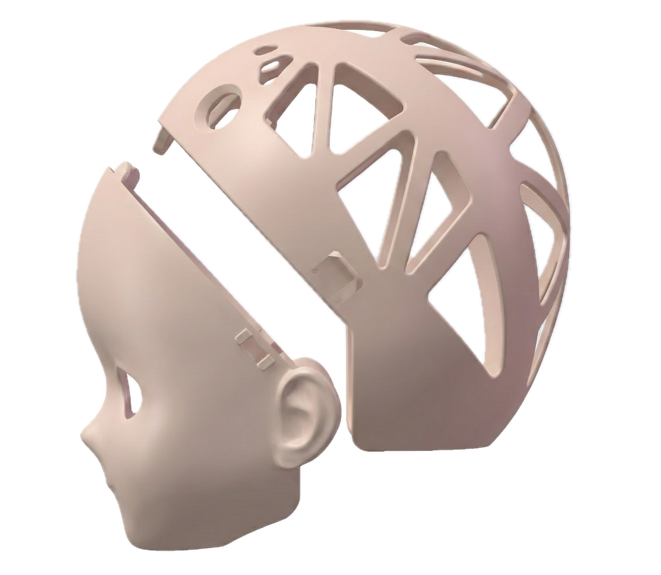 头壳结构 - 侧面分解视图